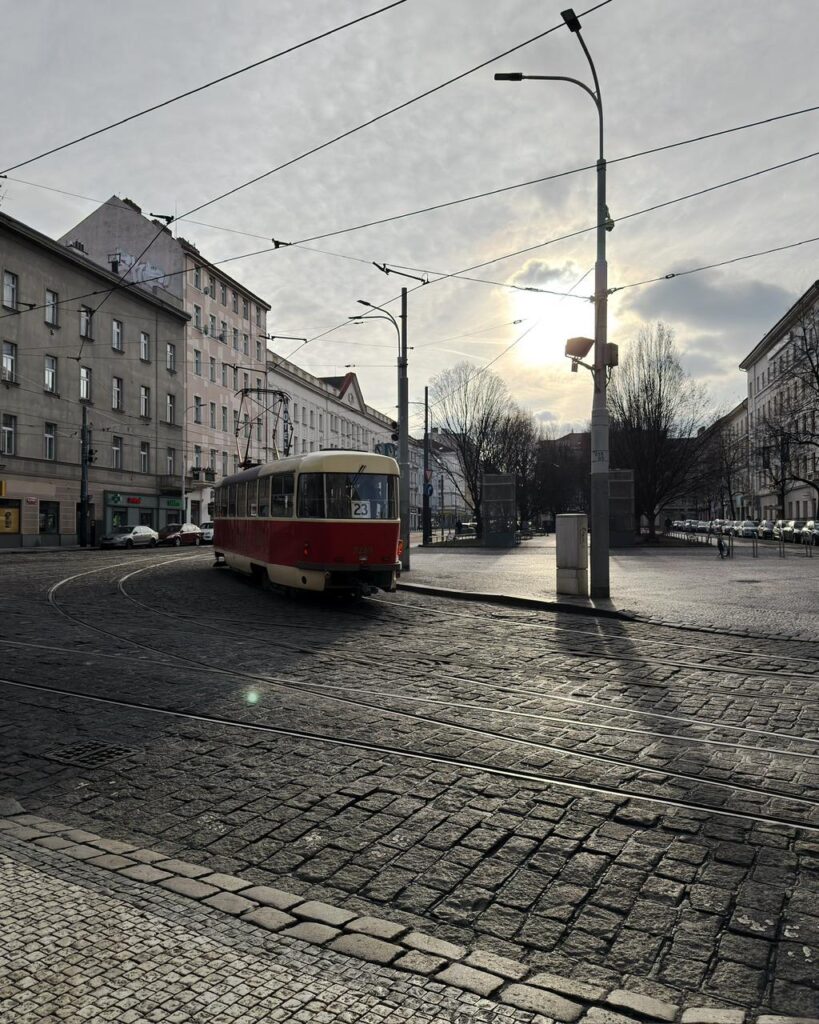 WhatsApp Image 2026-02-07 at 1.29.06 PM